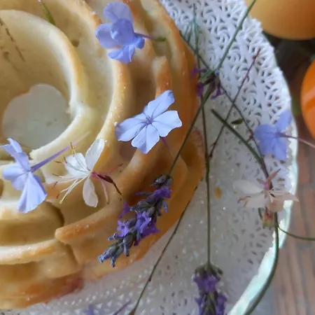 Aura Relais לינה וארוחת בוקר נומאנה