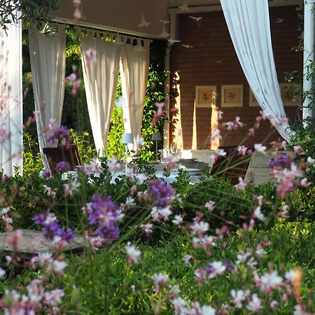 Aura Relais נומאנה