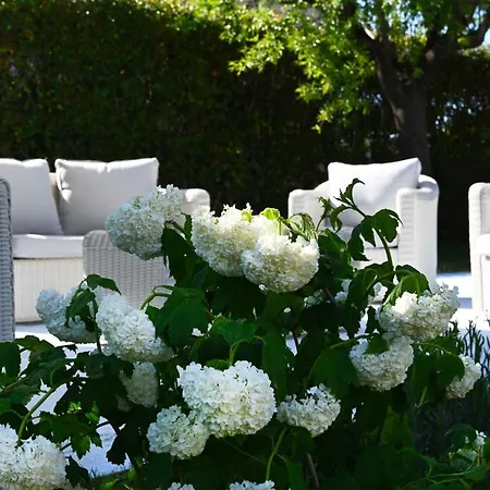 Aura Relais Oda ve Kahvaltı