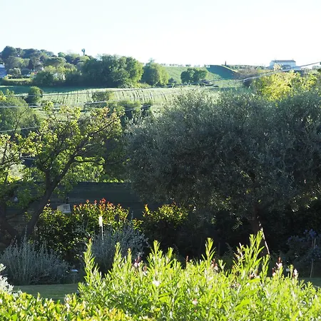 Aura Relais Panzió Numana
