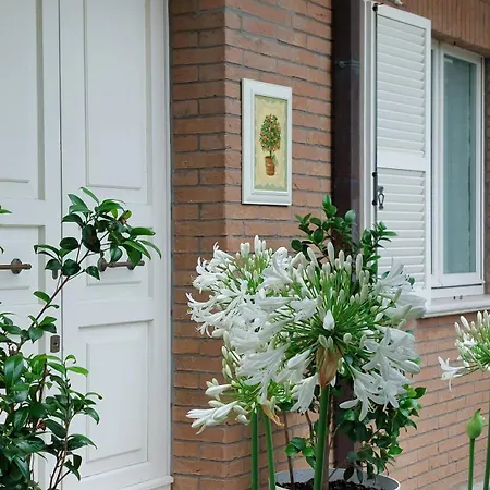 Oda ve Kahvaltı Aura Relais Numana