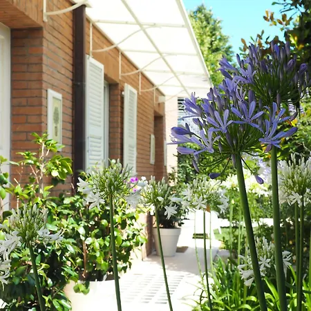 Aura Relais Bed & Breakfast Numana