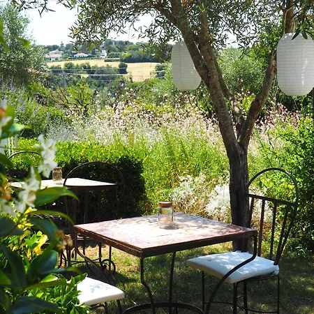 Aura Relais 4* Numana