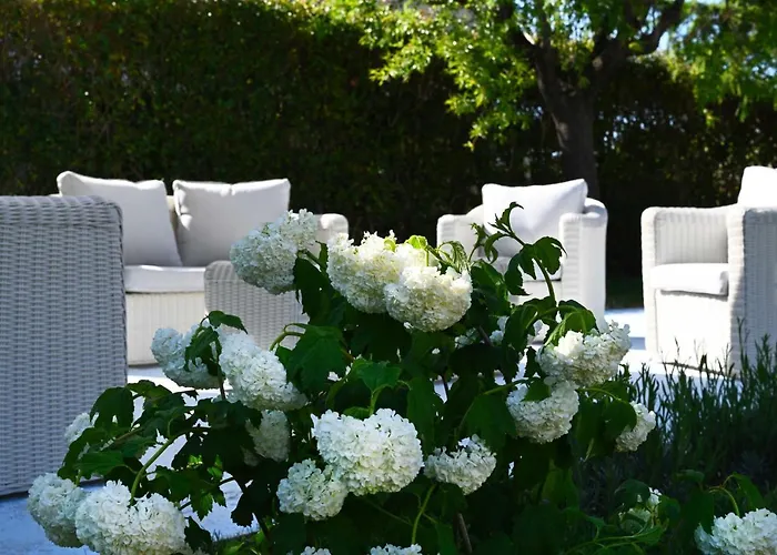 Aura Relais Bed & Breakfast